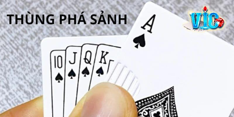 Thùng phá sảnh Poker là bài gì? Xếp hạng bài Poker chuẩn